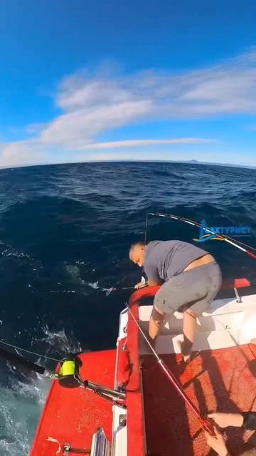 Рыбалка на тунца. Сахалин  travel турыонлайн nature