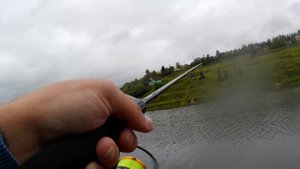 Азартная ловля уклейки