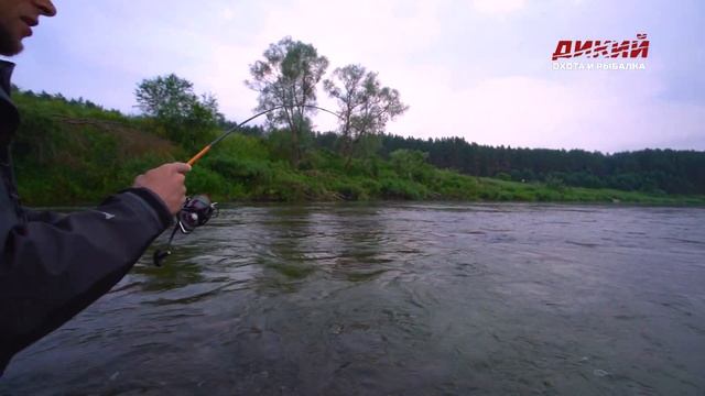 По России с удочкой. Угра. Часть 2 смотреть онлайн