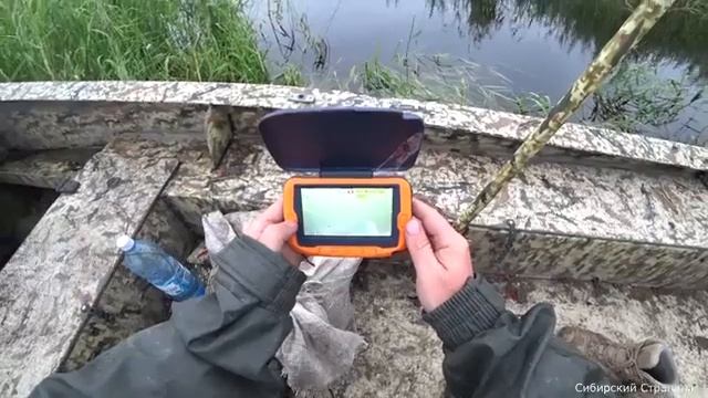 Пробрались на болотоходе в дикие места. Рыбалка на пау смотреть онлайн