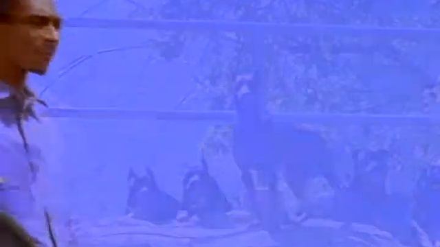 Музыкальные клипы Рэп Хип Хоп лучшие исполнители хиты  музыка!!! смотреть онлайн