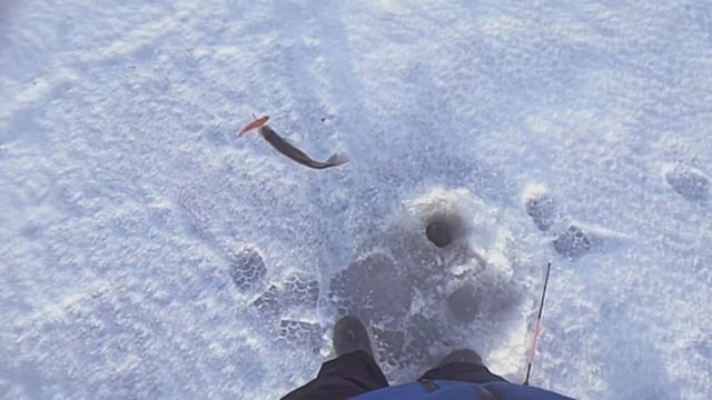 Рыбалка в Карелии!!! «В погоне за судаком» Эпизод 1 смотреть онлайн