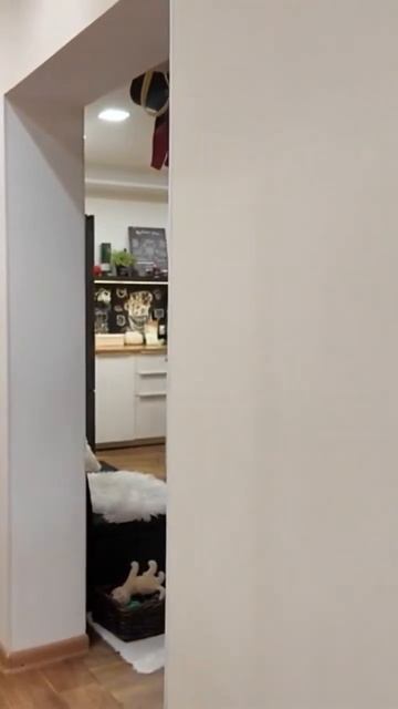 #леска #нубик #шеди #memes пукаю без смс и регистрации🤣😂 смотреть онлайн