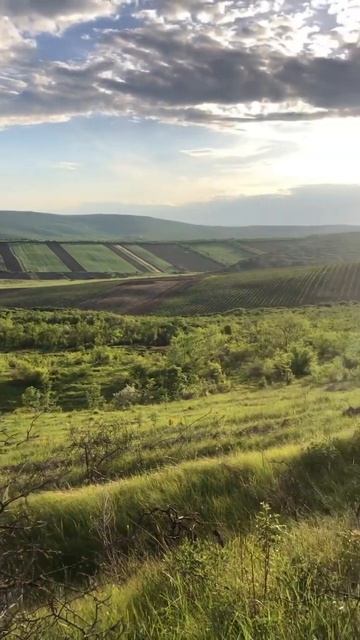 Какои вид😍😍 #охота #приколы #природа #рекомендации #р смотреть онлайн