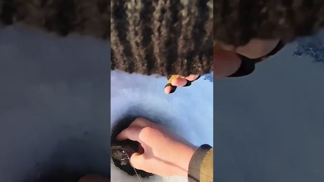 зимний налим смотреть онлайн