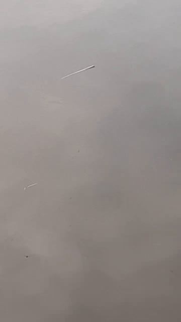 рыбалка на поплавок 2024 смотреть онлайн