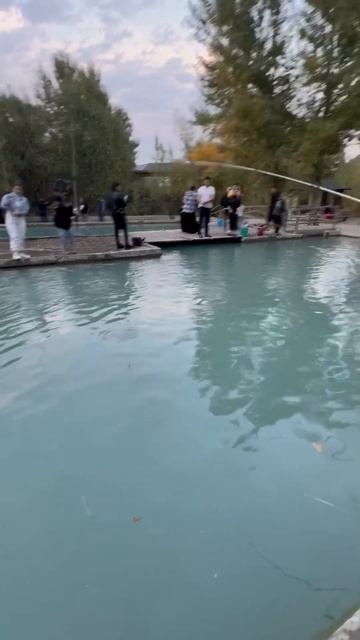 Форелевое хозяйство в Талгате #рыбалка #отдыхсдетьми смотреть онлайн