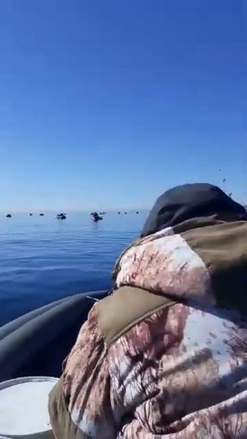 Рыбалка в Приморье. Минтай,как из бочки смотреть онлайн