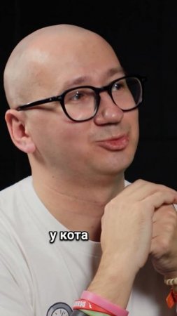 Фейерверки и кошки. Что делать, если кошка боится? Весь выпуск - в нашем канале