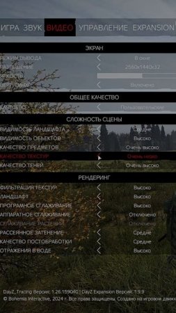 НАСТРОЙКИ ГРАФИКИ в DayZ ДЛЯ ТВОЕГО ПК #dayz