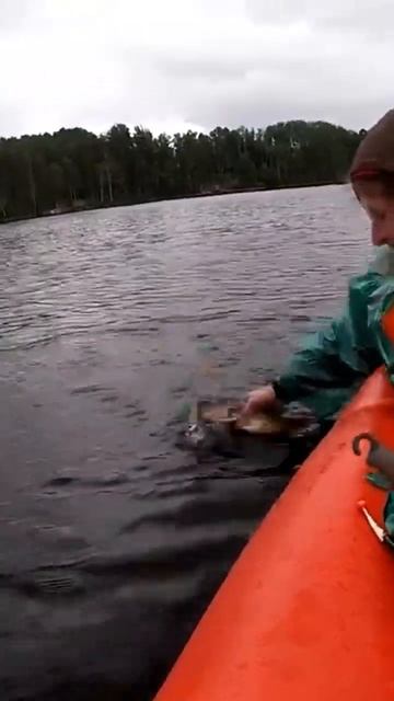 РЫБАЛКА на БОЛЬШОМ ОЗЕРЕ #путешествую смотреть онлайн