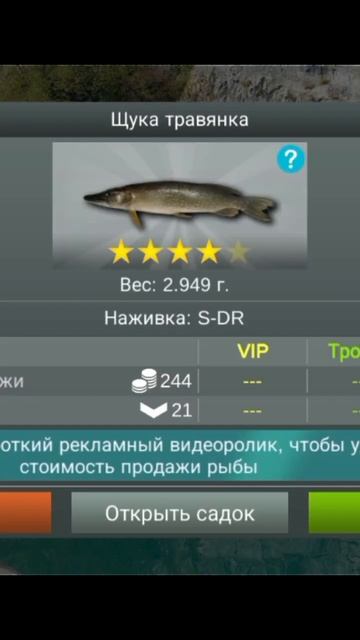 #рыбалка #fishing #simulator ultimate #игра #рекомендации #спиннинг смотреть онлайн