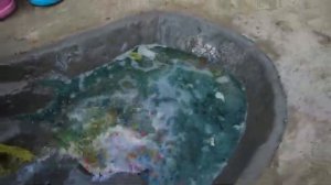 Огненый змей /Человек паук Эксперементы