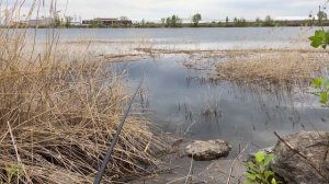 Отлично порыбачил на поплавок методом Херабуна)))