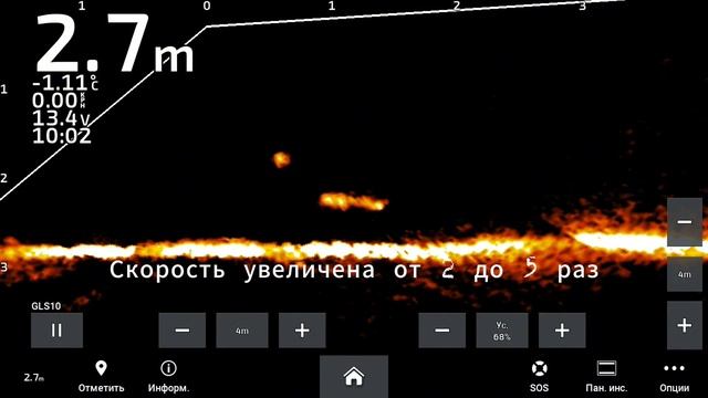 Эти рыбы очень хитры и огромны! смотреть онлайн