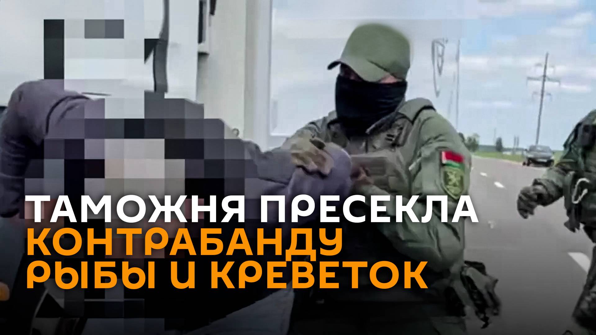 ГТК: рыбу и креветки незаконно поставляли в Беларусь из ЕС
