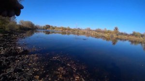 Рыбалка одного воблера   Bearking Riprizer 110F