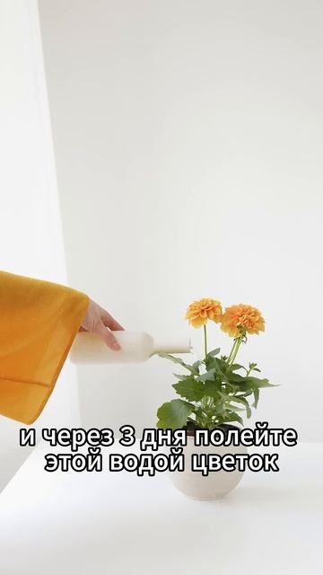 ПРИВЛЕЧЕНИЕ ДЕНЕГ: простой способ #домашняямагия #защ?