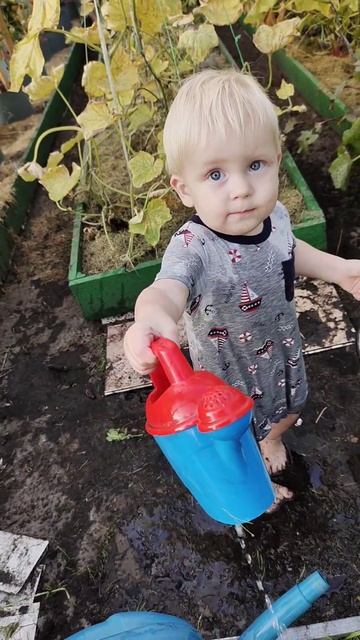 Дача 2022. Помощник в парнике. смотреть онлайн