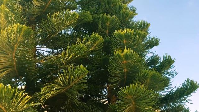 Отдых на Кипре смотреть онлайн