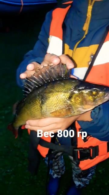 самый большой из 23 смотреть онлайн