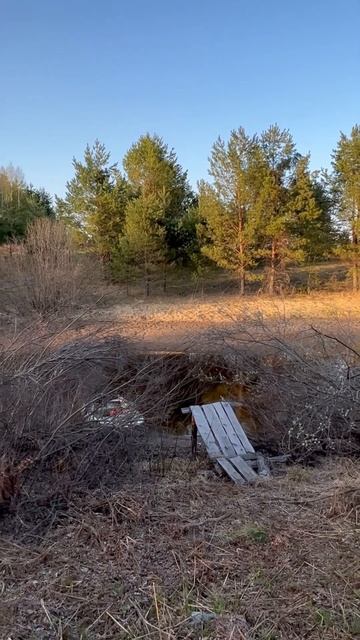 Банька в тайге #любимоедело #омскаяобласть #охота #при?