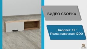 ТЭКС
Видео сборка. Модульная программа Квартет-13. Полка навесная 1200.