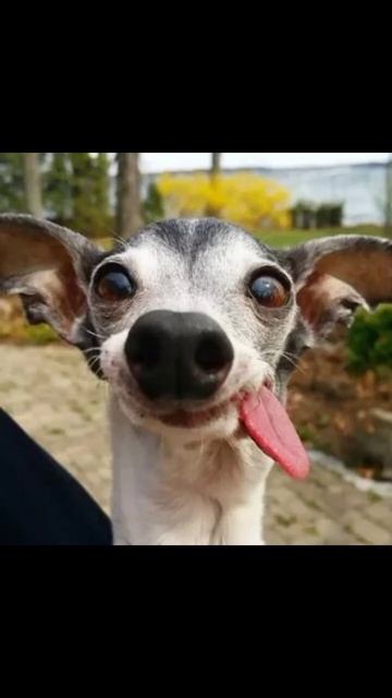 делал быстро если в звук не попал извините смотреть онлайн