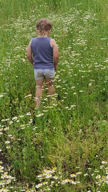 Ромашки - цветы ангела. И не может быть иначе. смотреть онлайн