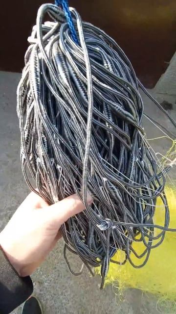 Толстолоб сюда. #косорама #рыбалка #сети смотреть онлайн