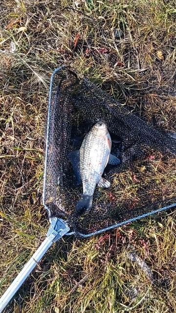 красноярск отдых октябрь2024 рыбалка