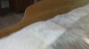 Тимур Пин Код - Весомый вклад - Видео Голос Барбоскины -