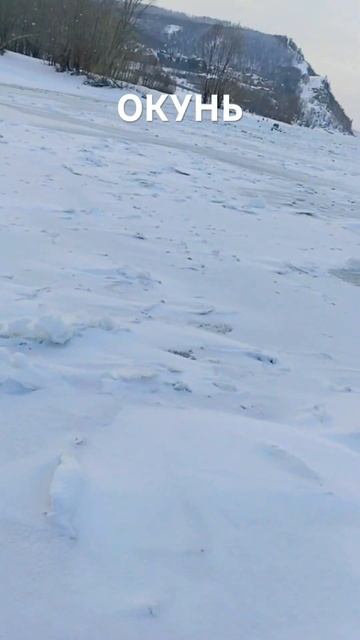 Ловим окуня в морозы на Волге #fish #fishing #окунь #окуньнам? смотреть онлайн