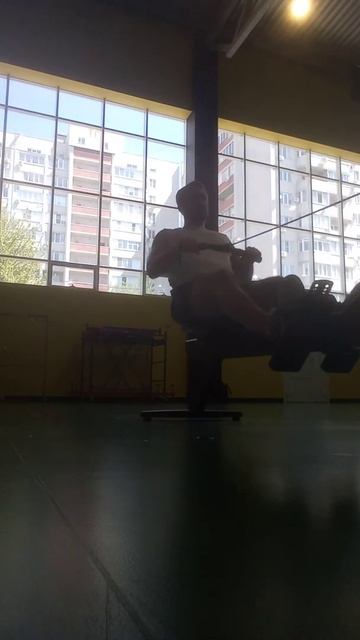 Тренажер "Гребля" от Арчи смотреть онлайн