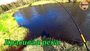 Приглашаю на прогулку по красивой реке.