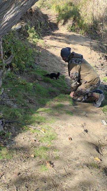 #рыбалка #топ #рек #астраханскаярыбалка #астрахань #нор смотреть онлайн