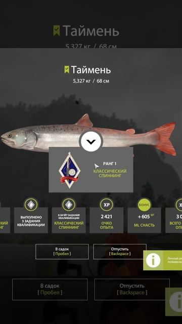 Выловил Тайменя на 5,327 кг в игре Русская рыбалка 4 | Russian смотреть онлайн