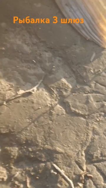 22 декабря 2024 г. смотреть онлайн