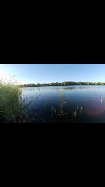 Летняя рыбалка в удовольствие. #рыбалка #ловлярыбы #fishi смотреть онлайн