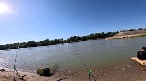 Рыбалка на Кубани Фёдоровский гидроузел 01.06.2024.