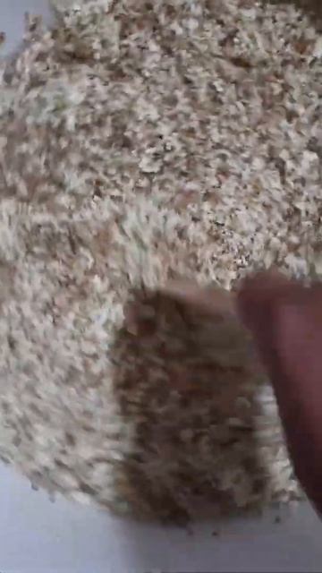 Квас із цвіту чорної бузини. смотреть онлайн