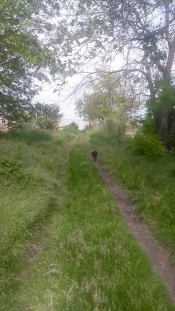 VID_20250511_154022