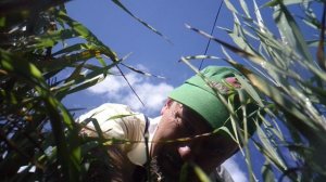 Прополка это ещё и СПОРТ