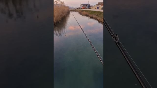 Тряхнём "стариной" 🤭 / Daiwa Alphas Air TW 20 🔫🏎️🚀 смотреть онлайн