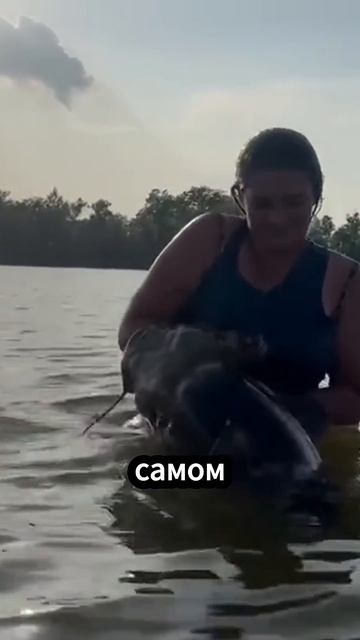 Как поймать сома руками нудлинг 😮 смотреть онлайн