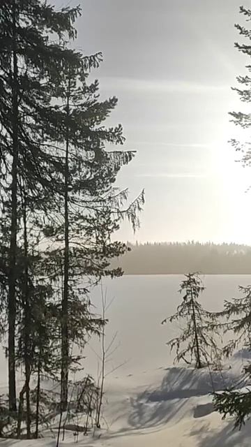 Зимнее утро на рыбалке смотреть онлайн
