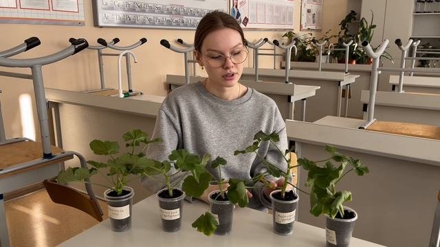 влияние минеральных удобрений на растения