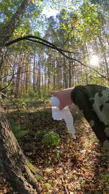 Что делать если встретил медведя на рыбалке. #fishing #спа? смотреть онлайн