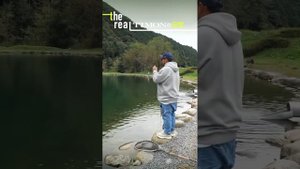 TIMON FUTTEN - похоже, лучший воблер на форель  #Futten #Jackall #AreaTro