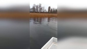 ЛОВЛЯ ЩУКИ В ВЫБОРГСКОМ ЗАЛИВЕ. РЫБАЛКА В ЛЕНИНГРАДСК?